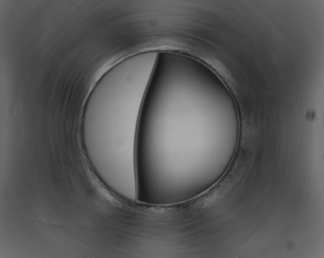 X0000094060850200710190931