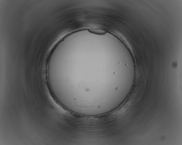 X0000094060851200710190931
