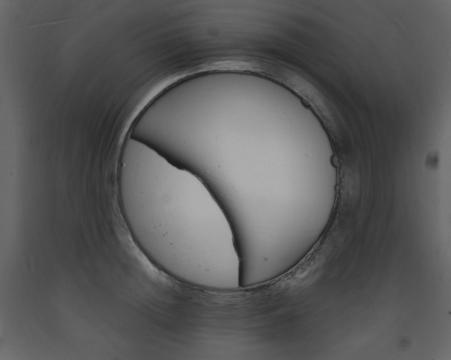 X0000094060852200710190931