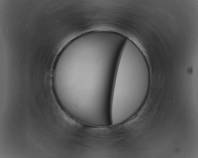 X0000094060853200710190931