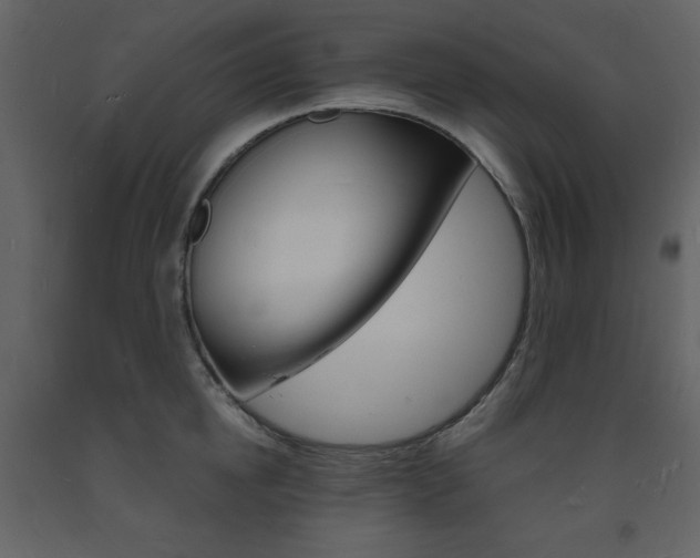 X0000094060854200710190931