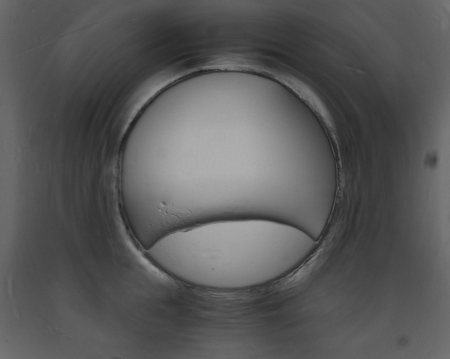 X0000094060855200710190931