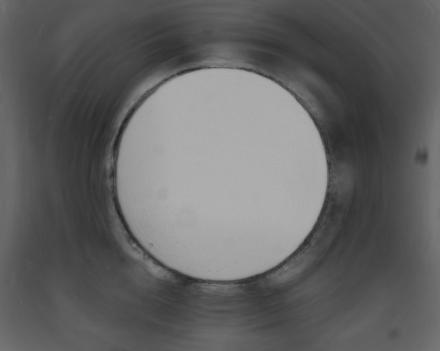 X0000094060856200710190931