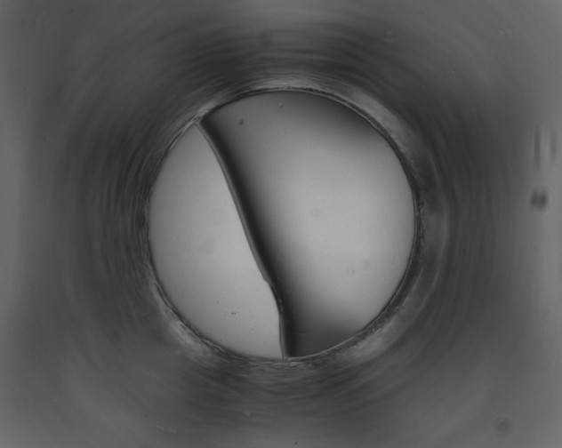 X0000094060857200710190931