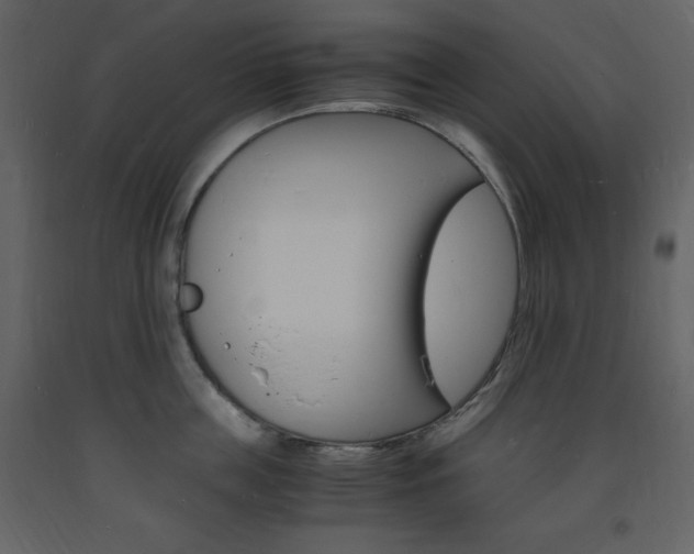X0000094060859200710190931