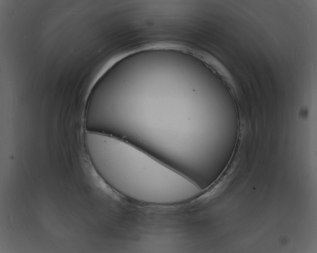X0000094060860200710190931