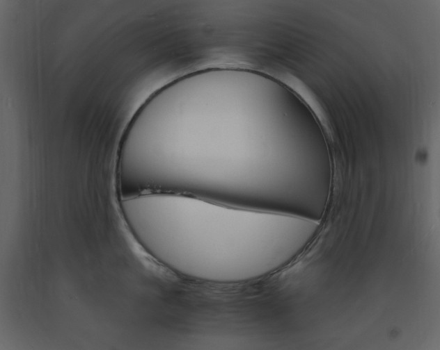 X0000094060861200710190931