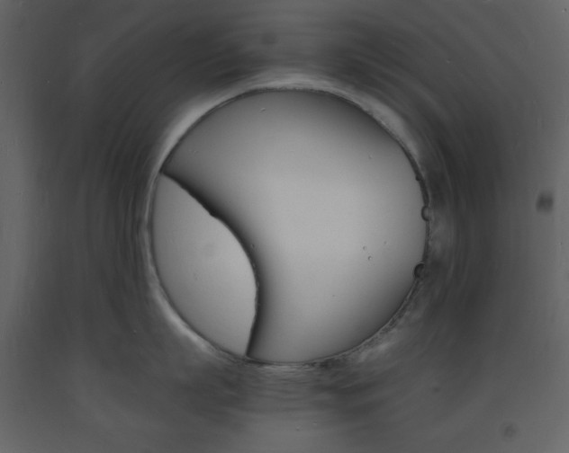 X0000094060863200710190931