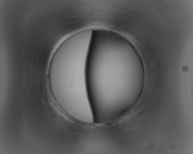 X0000094060864200710190931