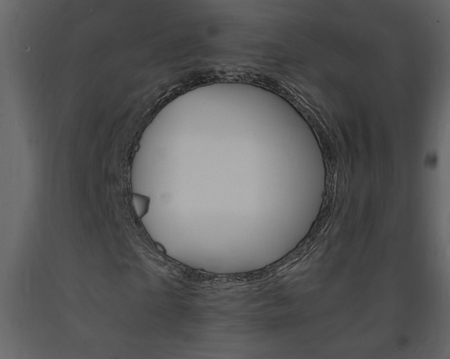 X0000094060865200710190931
