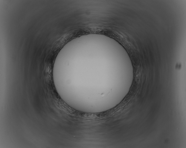 X0000094060866200710190931