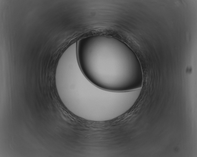X0000094060868200710190931
