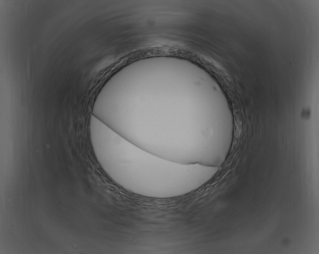 X0000094060869200710190931