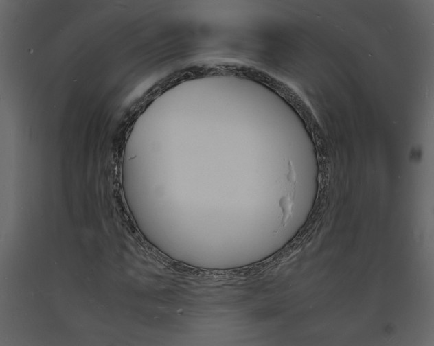 X0000094060871200710190931