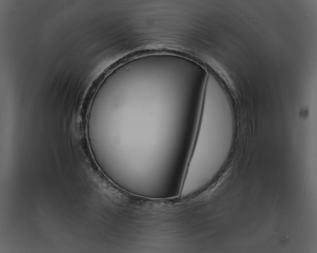 X0000094060876200710190930