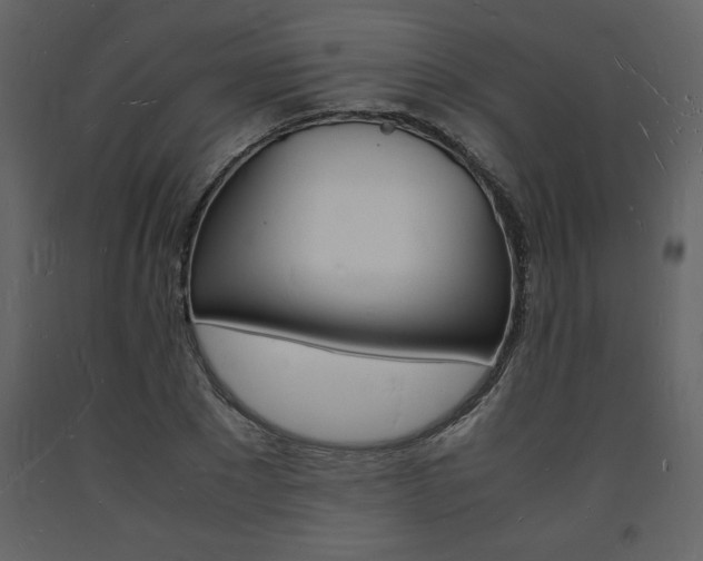 X0000094060881200710190930