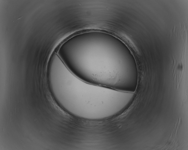 X0000094060884200710190930