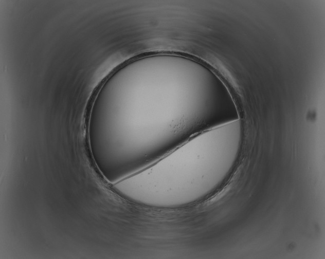 X0000094060885200710190930