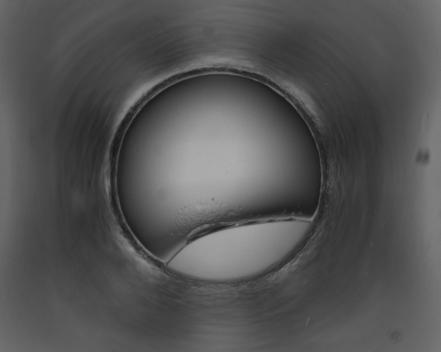X0000094060888200710190930