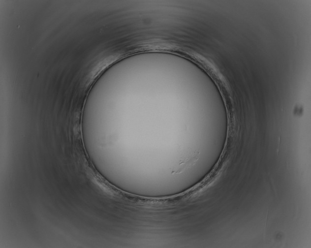 X0000094060889200710190930