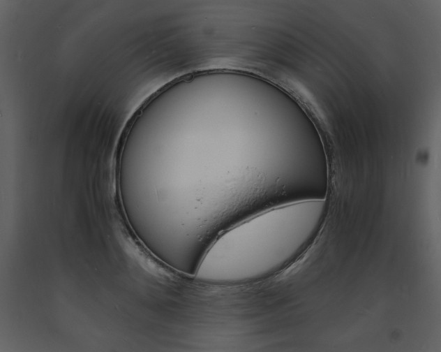 X0000094060892200710190930