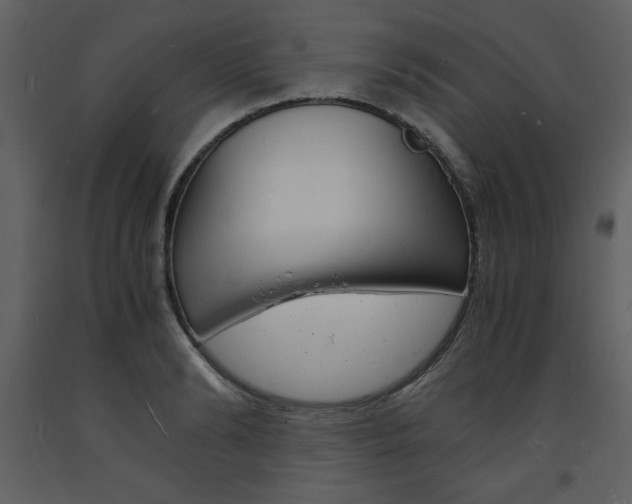 X0000094060894200710190930