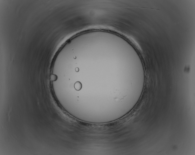 X0000094060895200710190930