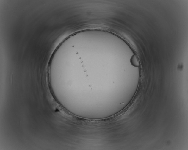 X0000094060899200710190930