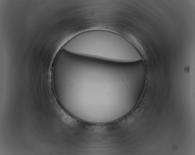 X0000094060900200710190930