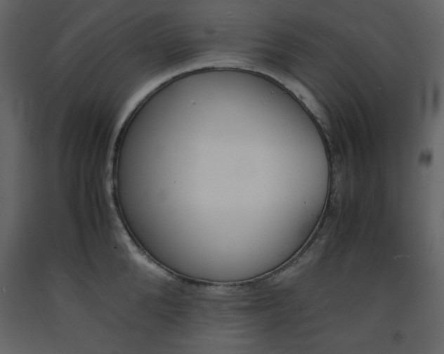 X0000094060904200710190930