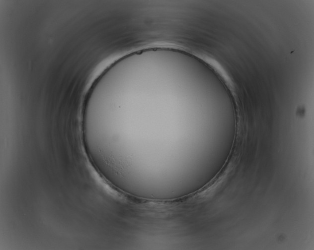 X0000094060910200710190930