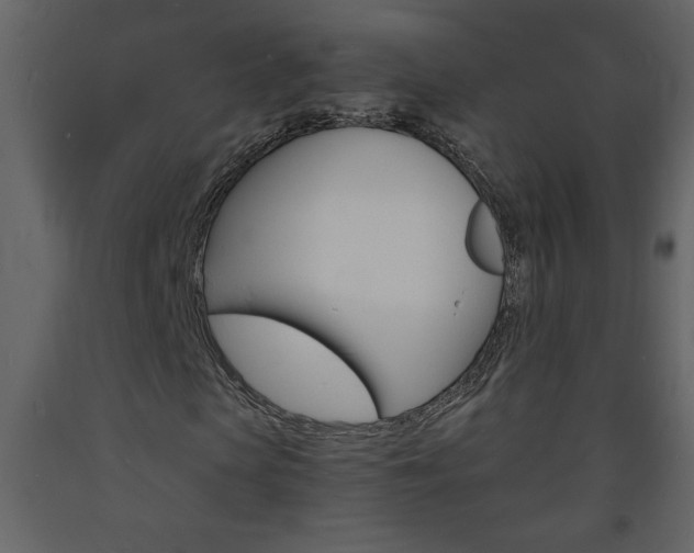 X0000094060913200710190929