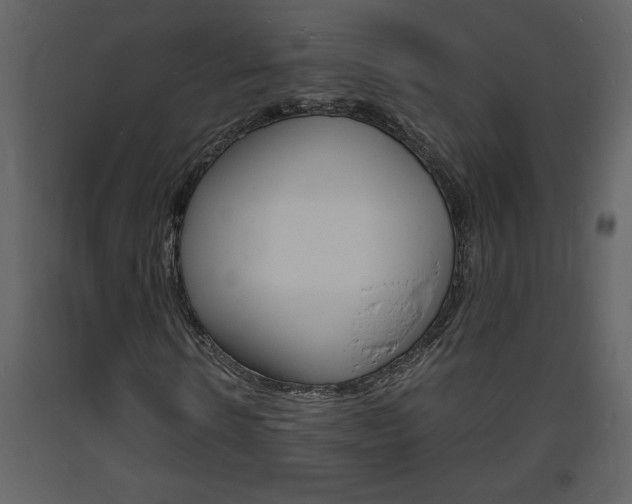 X0000094060914200710190929