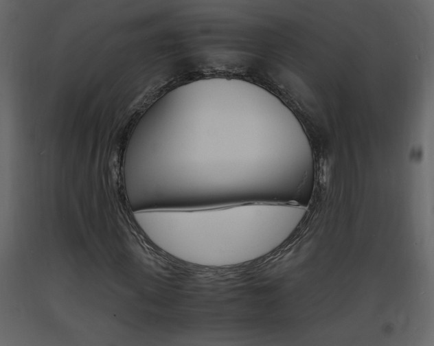 X0000094060915200710190929