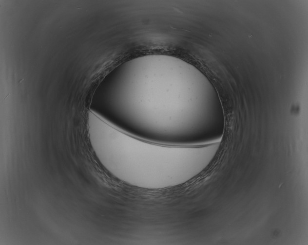 X0000094060916200710190929