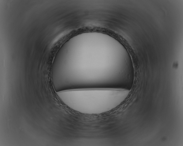 X0000094060919200710190929