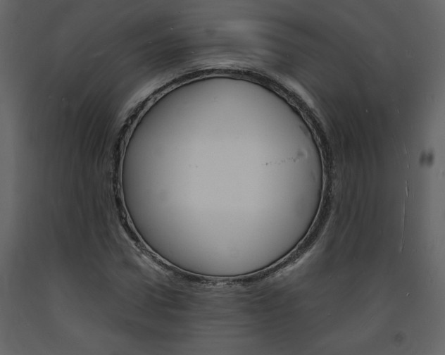 X0000094060922200710190929