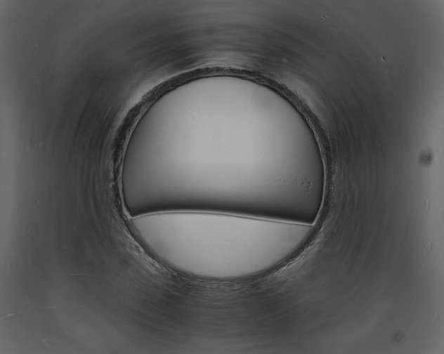 X0000094060923200710190929