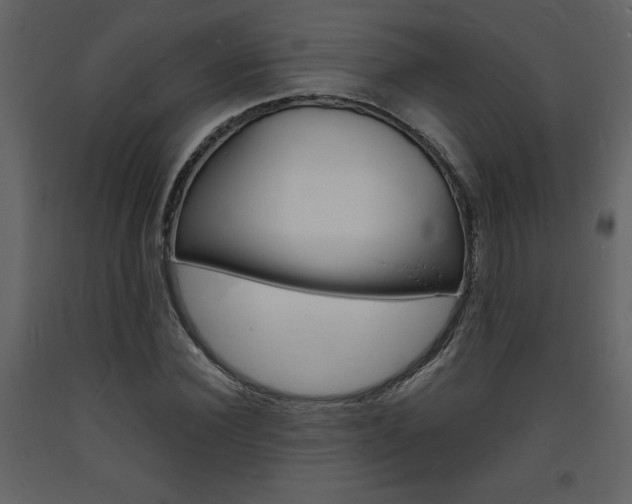 X0000094060924200710190929