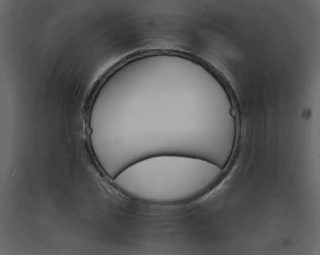 X0000094060925200710190929
