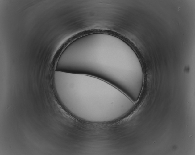 X0000094060926200710190929