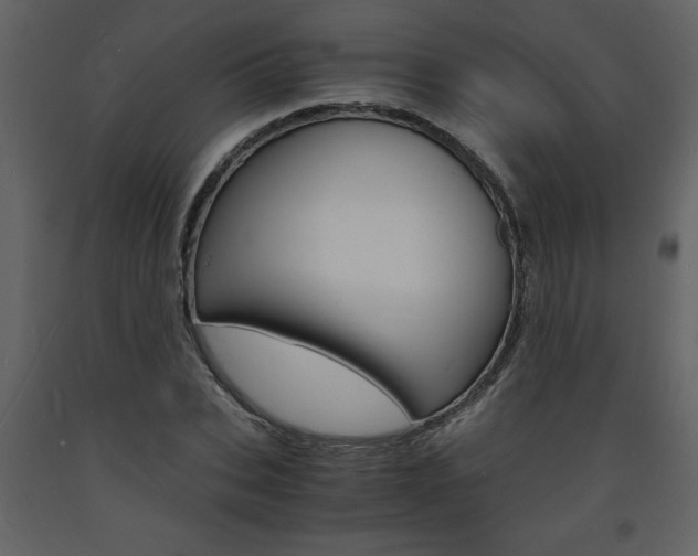 X0000094060927200710190929