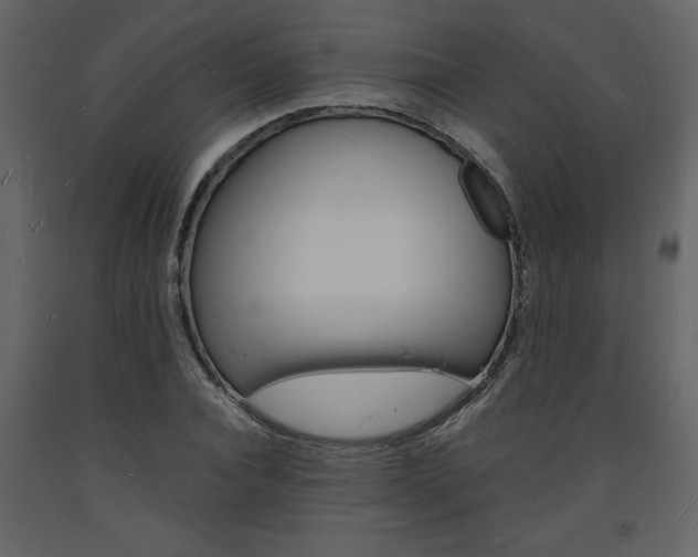 X0000094060928200710190929