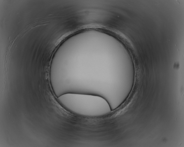 X0000094060929200710190929