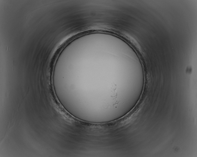 X0000094060931200710190929