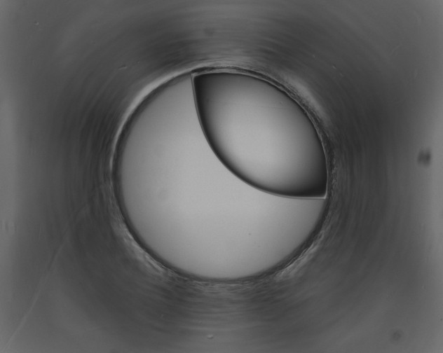 X0000094060932200710190929