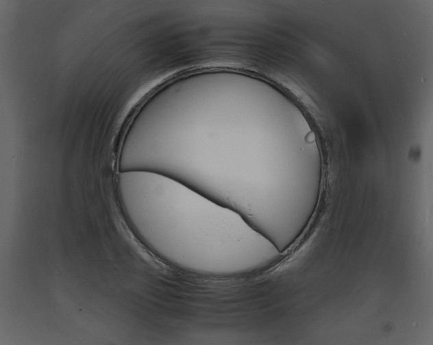 X0000094060933200710190929