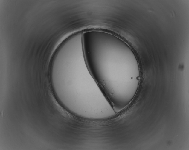X0000094060934200710190929