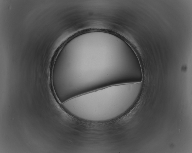 X0000094060935200710190929
