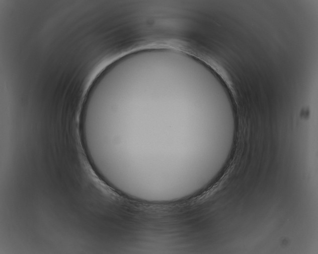X0000094060936200710190929